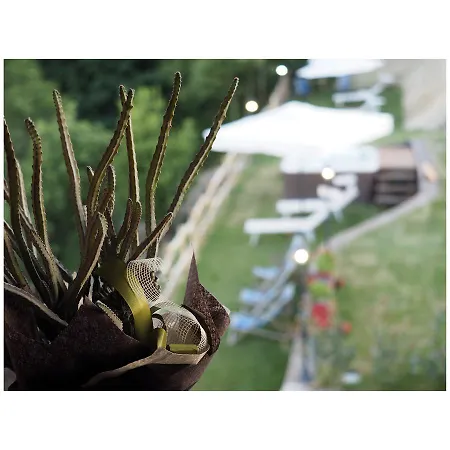 Il Rustichello Kro 2*