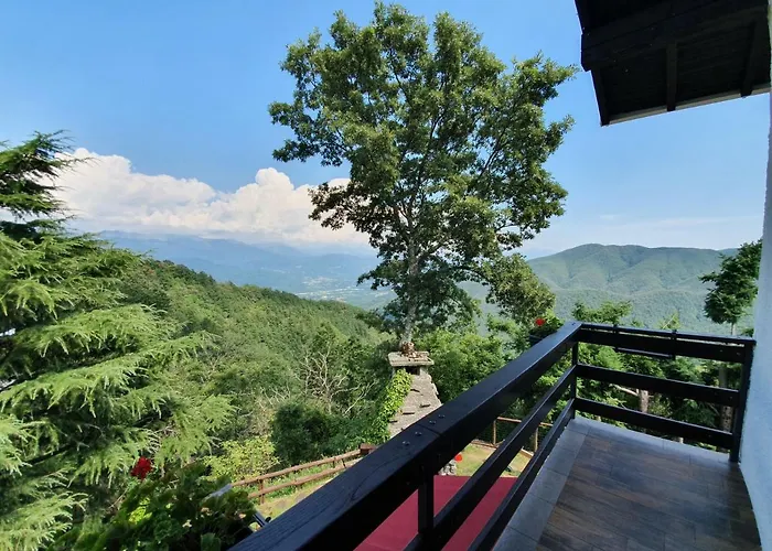 Il Rustichello 宾馆 2*