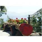 بيت ريفي Il Rustichello